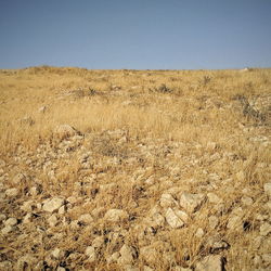 Scenic view of desert against clear sky