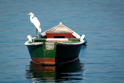 Bird perching on boat in water