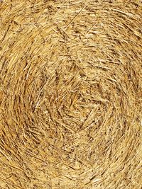 Full frame shot of hay bales on field