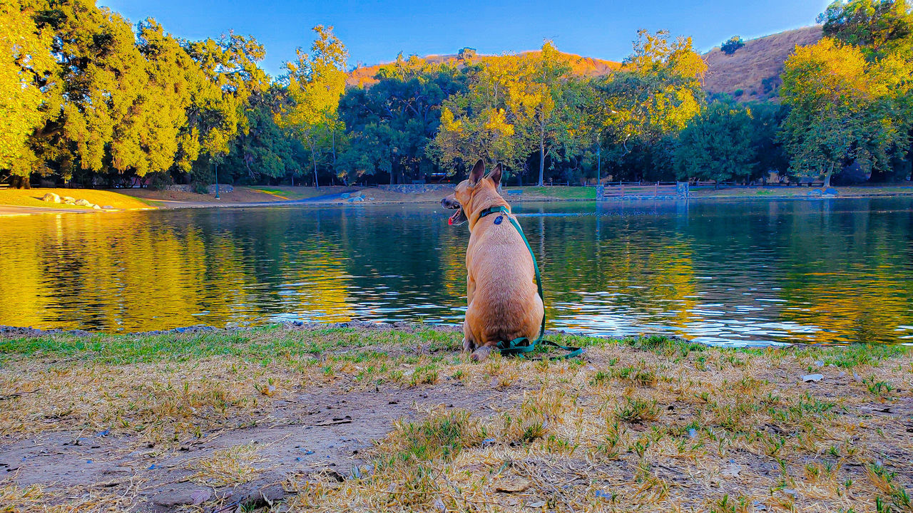 SCENIC VIEW OF LAKE IN AUTUMN