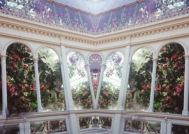 indoors, architecture, built structure, window, design, ornate, arch, flower, low angle view, religion, pattern, no people, day, architectural column, place of worship, art, glass - material, architectural feature, spirituality, art and craft