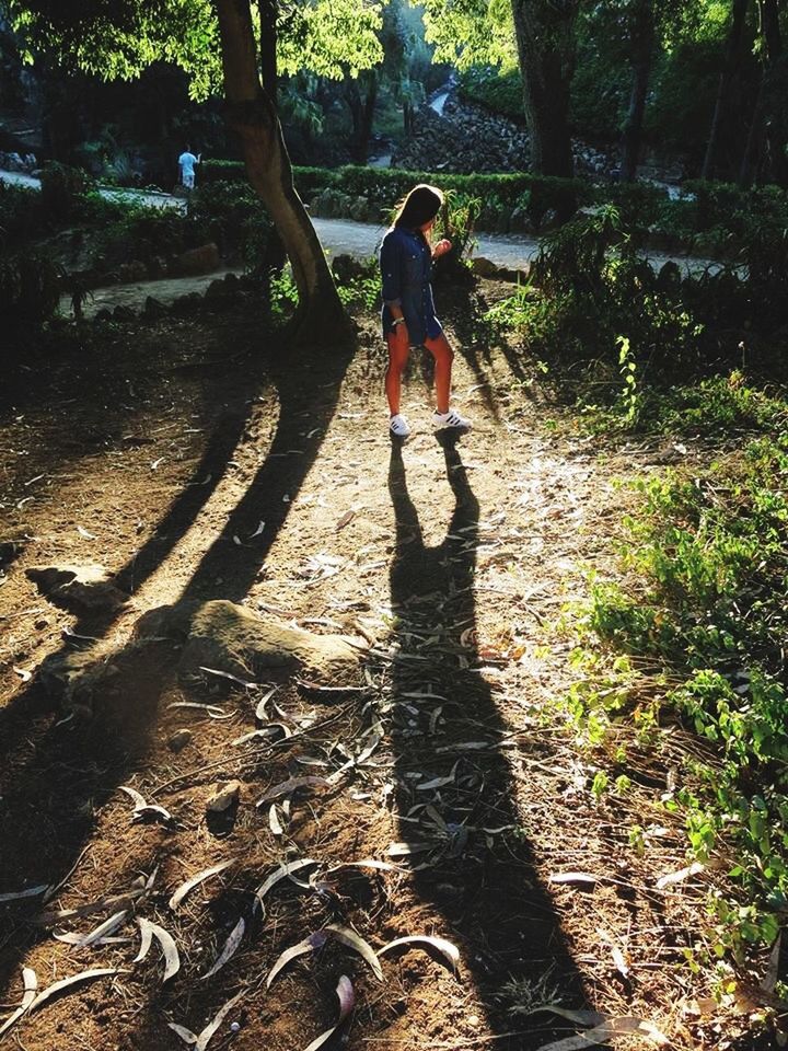 tree, full length, lifestyles, leisure activity, shadow, casual clothing, walking, rear view, forest, sunlight, tree trunk, standing, growth, footpath, nature, men, the way forward, day