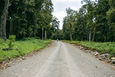 Rear view of a hiker walking in the road amidst trees at mount kenya national park, kenya