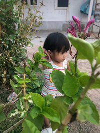 Girl in plant