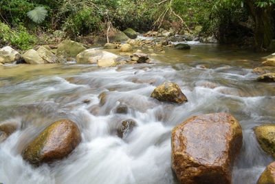 River flowing through rocks in forest