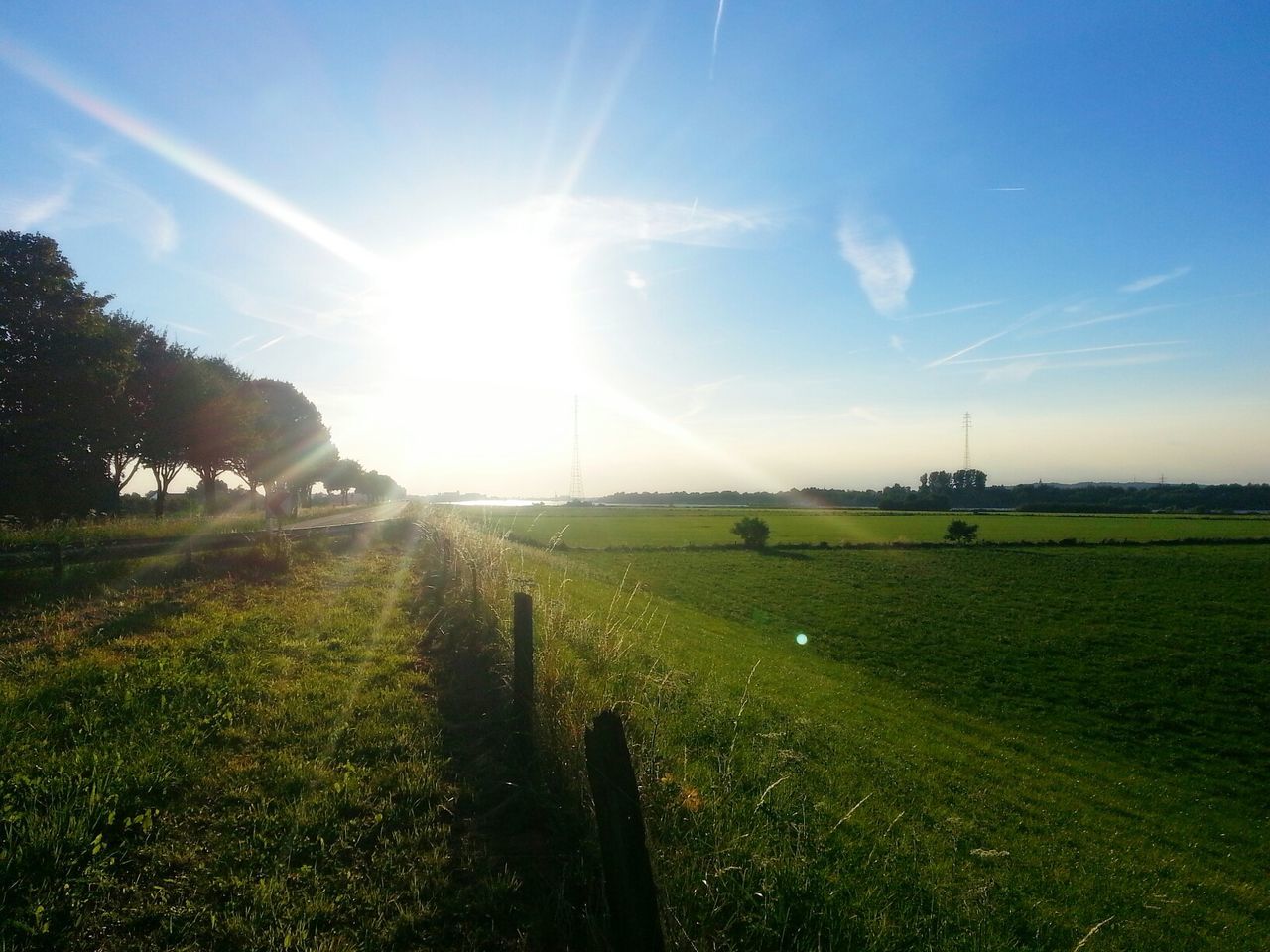grass, sun, field, landscape, sunlight, sunbeam, sky, rural scene, grassy, tranquility, tranquil scene, lens flare, nature, green color, blue, scenics, beauty in nature, sunny, growth, agriculture