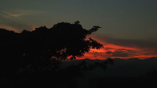 Silhouette tree against sky during sunset