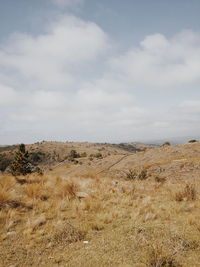 Scenic view of land against sky