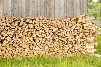 Stack of logs in forest