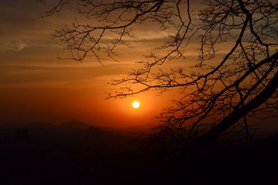 Scenic view of silhouette plants against romantic sky at sunset