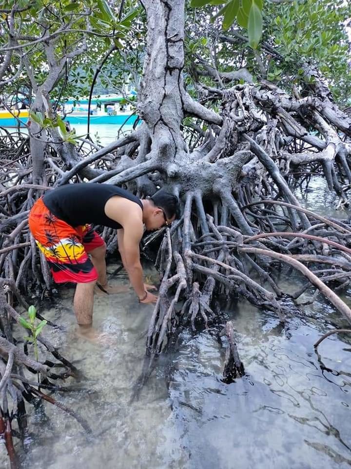 holiday #holiday #beach #mangrove