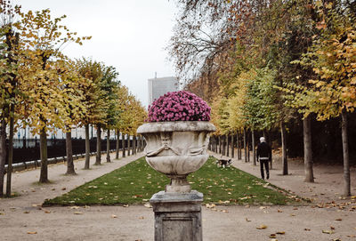 Park against sky during autumn