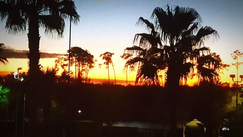 Silhouette palm trees against sky during sunset