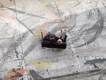 High angle view of females sitting on sofa