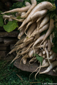 Close-up of vegetables