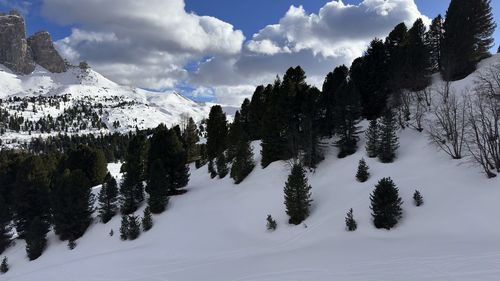 snow