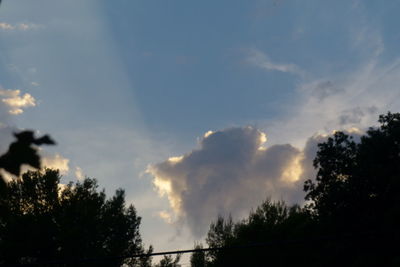 Low angle view of silhouette trees against sky