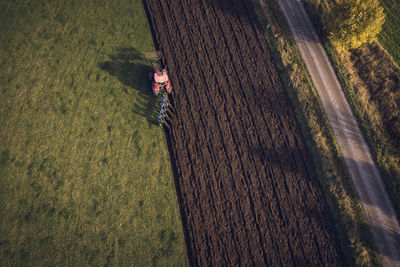 High angle view of person on field