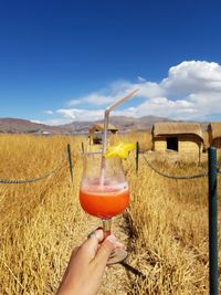 Hand holding drink on field against sky