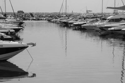 Sailboats moored in harbor