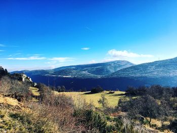 Scenic view of landscape against blue sky