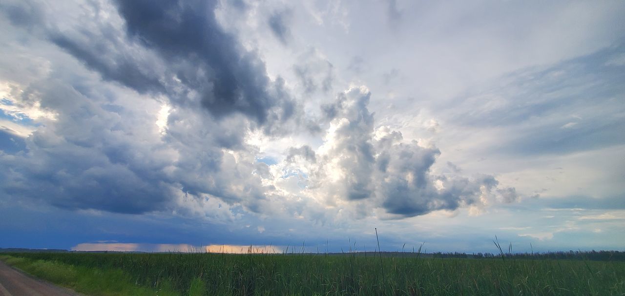 sky, cloud, environment, landscape, horizon, nature, plant, field, beauty in nature, land, prairie, rural scene, road, scenics - nature, grass, no people, plain, horizon over land, rural area, cloudscape, grassland, transportation, agriculture, outdoors, blue, sunlight, dramatic sky, tranquility, day, panoramic, non-urban scene, tree, tranquil scene, crop, storm, growth, travel, vanishing point, the way forward