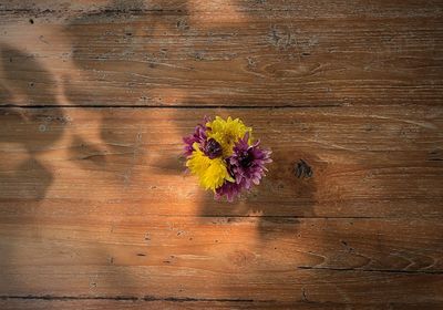 High angle view of pink flower on wooden table