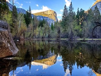 Reflection of trees in lake against sky