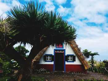 Palm tree by building against sky