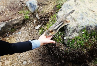 Cropped image of hand holding glass