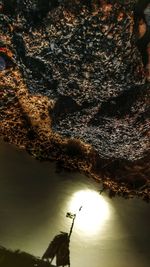 Aerial view of tree against sky during sunset