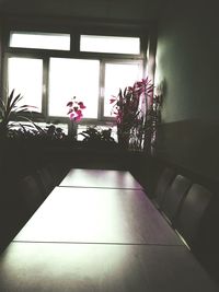 Flowers in balcony seen through window