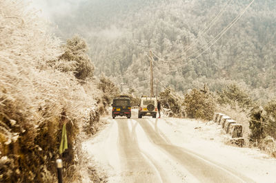 Road amidst trees during winter