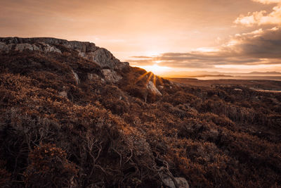 Scenic view of landscape against sky during sunset