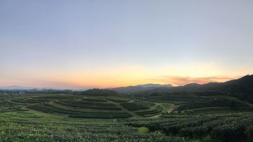 Scenic view of agricultural field against sky during sunset