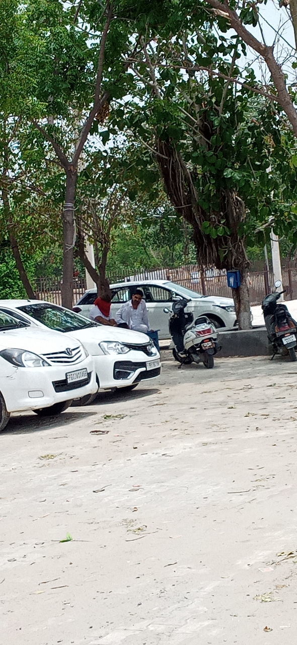 CARS ON STREET IN CITY