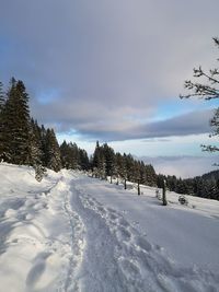 Snow covered field against sky