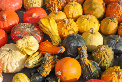 Full frame shot of pumpkins in market