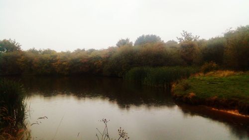 Scenic view of lake in forest against clear sky