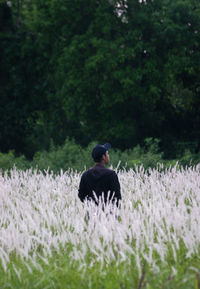 Rear view of man with flowers on field