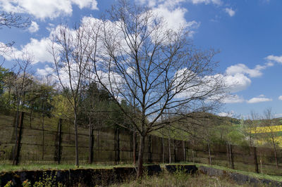 Bare trees on field against sky