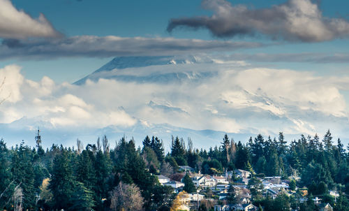 Panoramic view of trees and buildings against sky