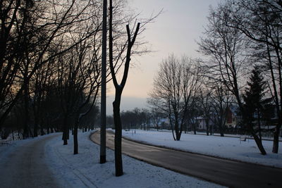 Trees on snow covered landscape