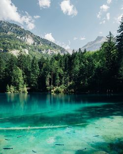 Scenic view of blausee against sky