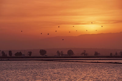 Scenic view of orange sky