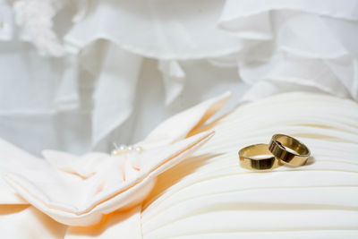 Close-up of wedding rings on dress