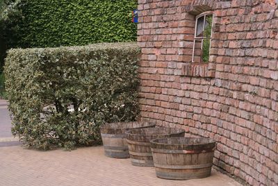 Potted plants against brick wall