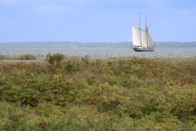 Sailboat sailing on sea against sky