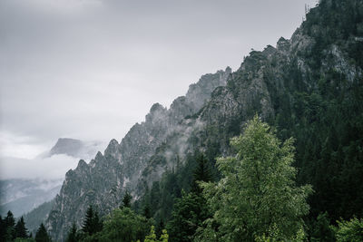 Trees and mountains against sky during foggy weather