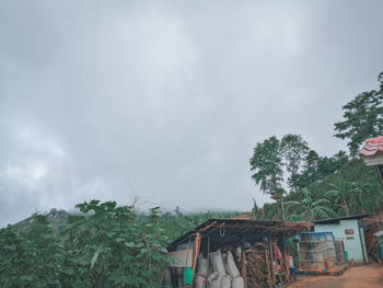 Low angle view of house and trees against sky